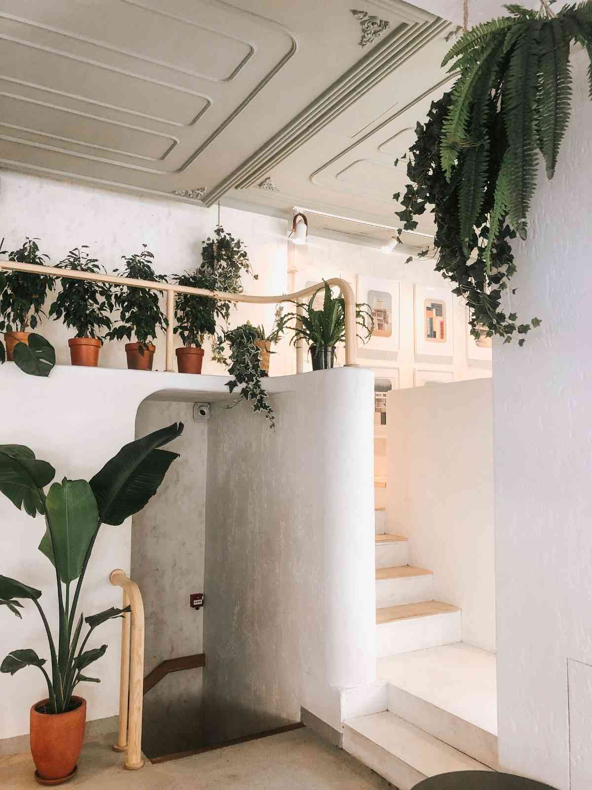 Espacio interior con plantas verdes